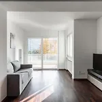 Maraini 15